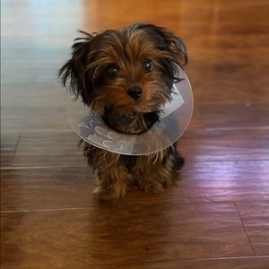 Meet your Posher, Kendra